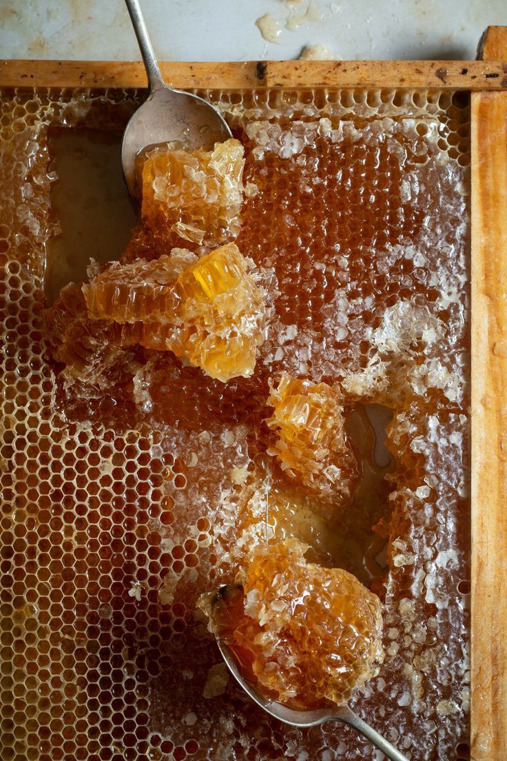 The Hive